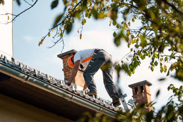 Best New Roof Installation  in Honeyville, UT